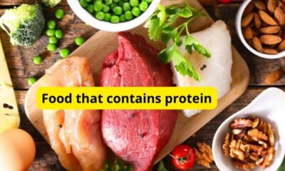 food that contains protein