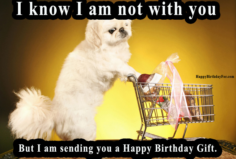 Funny Birthday Meme Shopping