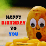 Funny Happy Birthday GIF Image Potato