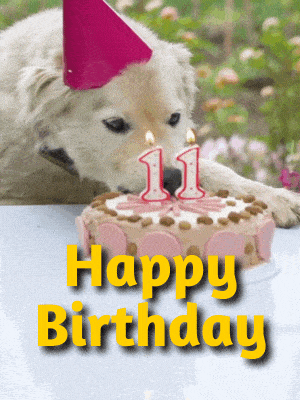 Happy Birthday GIF Funny Images - 25+ Download Free Cards