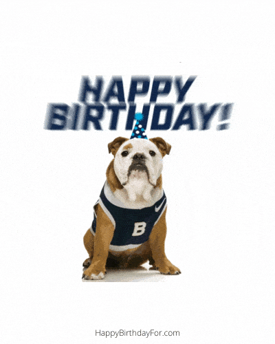 Happy birthday GIF Images dogs