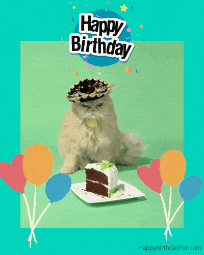 Happy birthday GIF cat