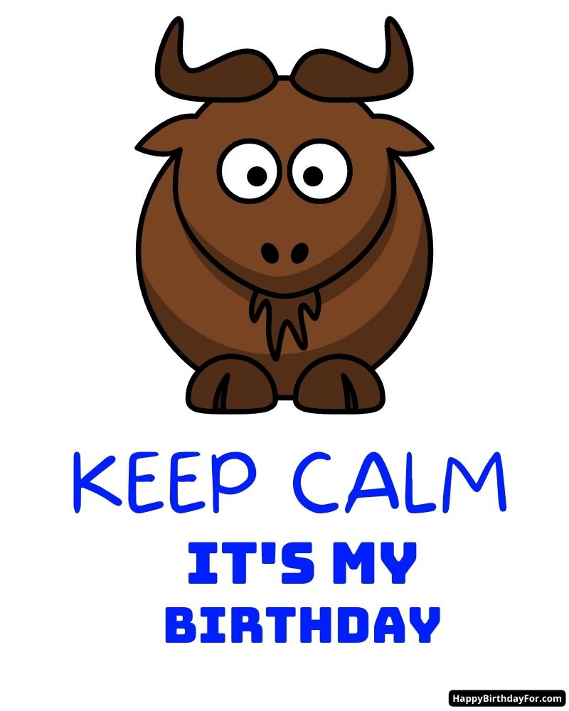 Keep Calm It's My Birthday Image