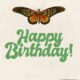Happy Birthday Image Butterflies
