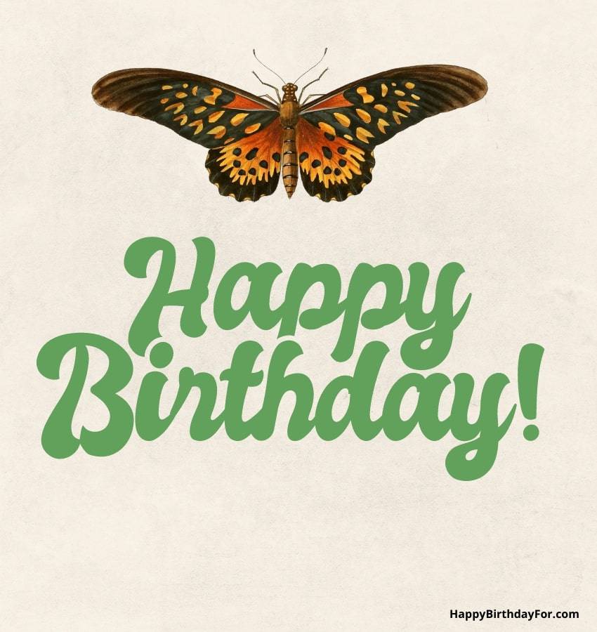 Happy Birthday Image Butterflies