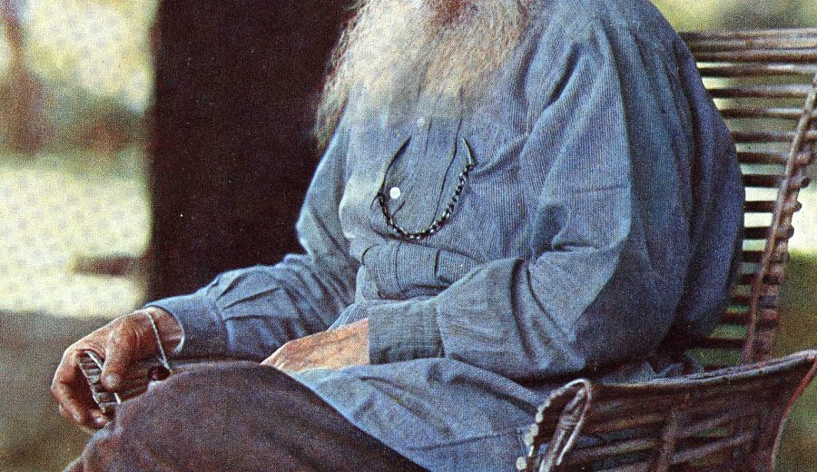 Happy Birthday Leo Tolstoy Wishes 2026